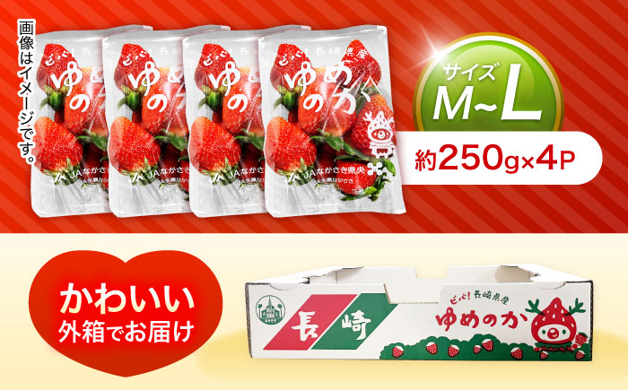 【1週間以内発送/限定数量】【家庭用に最適】長崎いちご「ゆめのか」M〜Lサイズ 約250g×4パック 合計1000g /苺 イチゴ フルーツ デザート ジューシー 食卓 おやつ 1kg 4P /諫早市