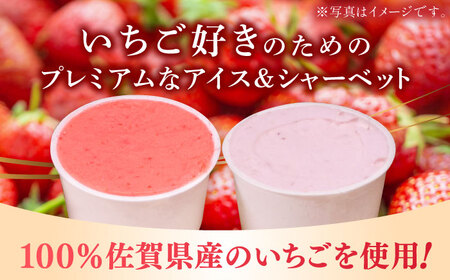 【先行予約】苺好きが夢中！THE ICHIGO プレミアム苺アイスクリーム＆シャーベット 計8個  / いちご イチゴ アイス デザート / 佐賀県 / さかもとさんの畑［41ABAA020］いちご 