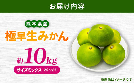 【先行予約】 極早生みかん 2S-2L 約10kg みかん 蜜柑 柑橘 フルーツ 果物 【日本フルーツ株式会社】[ZFJ055]