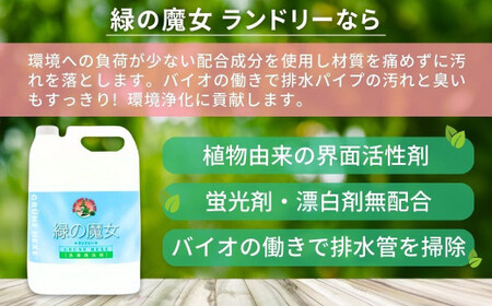 【毎月定期便】ふるさと納税専門誌掲載品　環境配慮型洗剤緑の魔女ランドリー5L×3セット 全12回 | 茨城県 龍ケ崎市 洗剤 パイプクリーナー 詰まり 臭い 排水溝 環境配慮 洗濯槽 手肌 優しい 汚