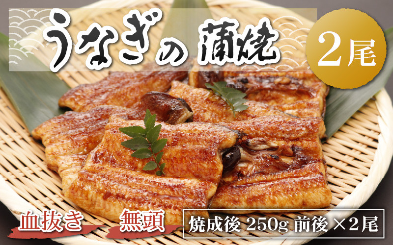 
血抜きうなぎの蒲焼（無頭）焼成後250g前後×2尾 | 国産 [B-044001]

