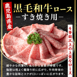 鹿児島県産黒毛和牛ロース すき焼き用セット (計500g・500g×1) 国産 牛肉 すき焼き【肉のちょーさん】A955