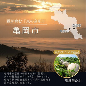 おせち 京菜味のむら 二段重 冷凍おせち 32品 2027 先行予約 12月29日お届け