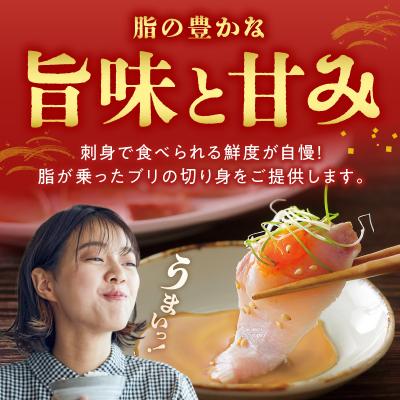 ふるさと納税 天草市 天海ぶり切り身 80g 8切(冷凍)_S115-004 |  | 01