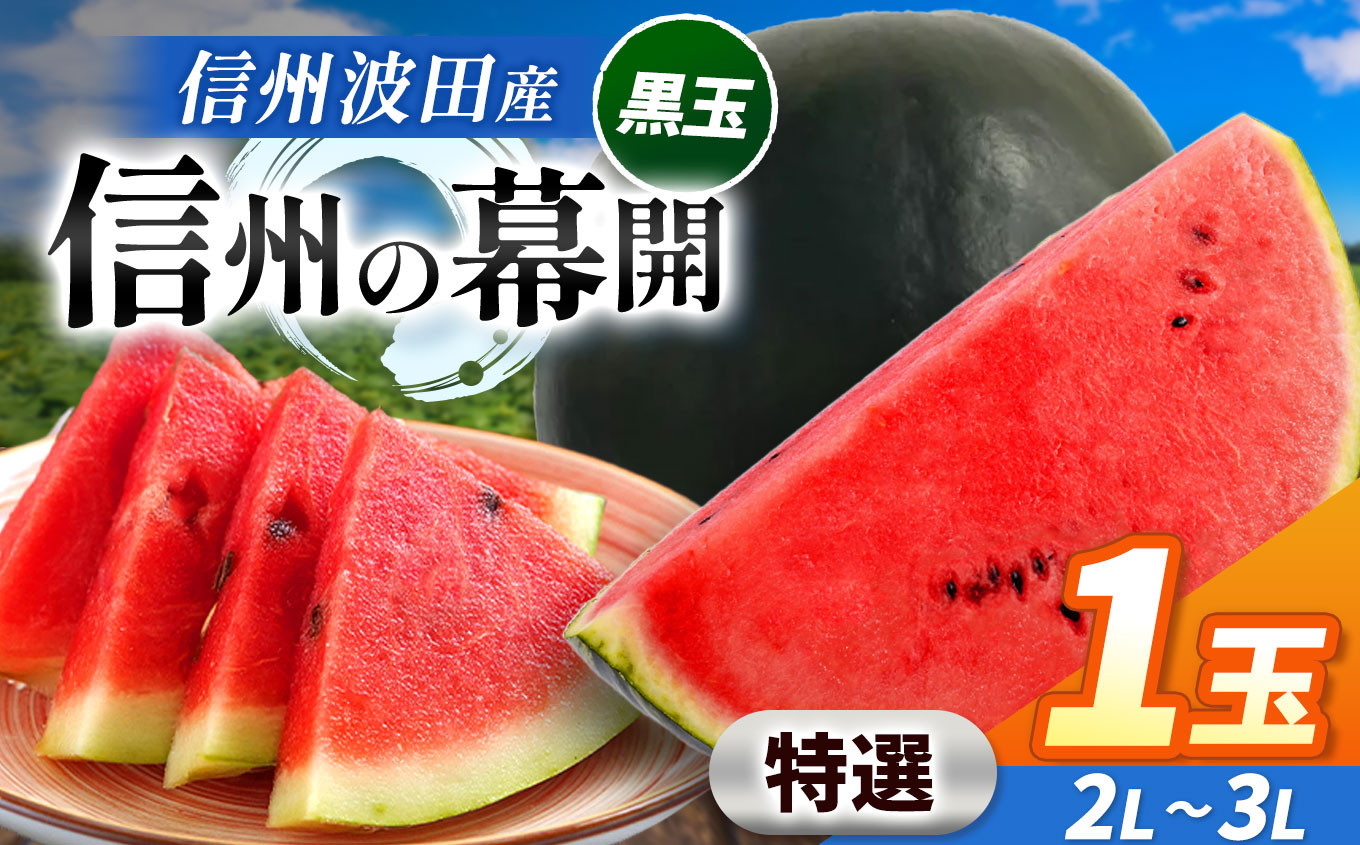 
            【先行予約】信州波田産 贈答用 黒玉スイカ！信州の幕開 【特選】 2L～3Lサイズ 1玉｜ふるさと納税 長野県 信州 松本 果物 フルーツ すいか スイカ 西瓜 贈答 季節限定 甘い くだもの ふるーつ
          