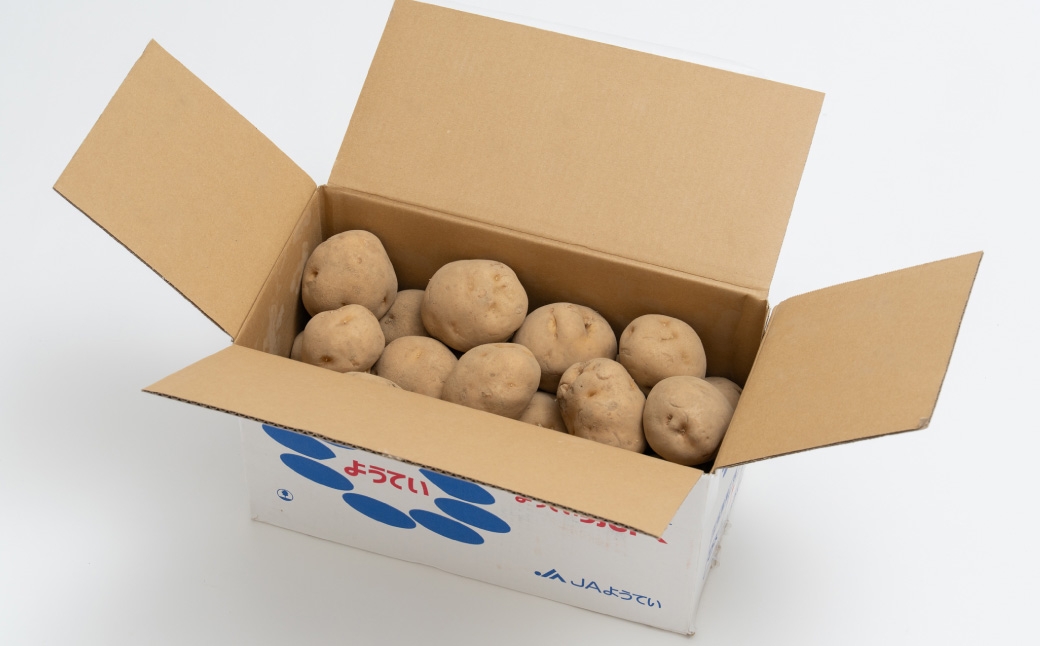 じゃがいも男爵L約5kg1箱,じゃがいもきたかむいL約5kg1箱