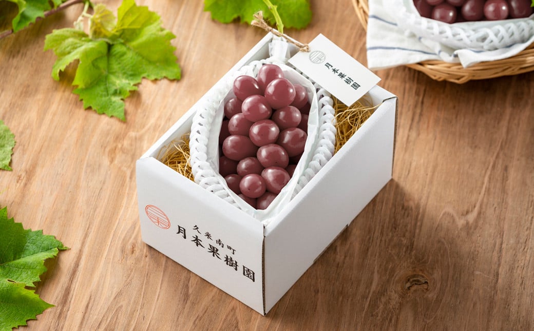 《種なし》 岡山県産 クイーンニーナ 手軽なカップタイプ 約300g × 4カップ 計約1.2kg 【2025年8月下旬～2025年9月下旬発送予定】 ／ ぶどう ブドウ 葡萄 大粒 種なし 種無し 