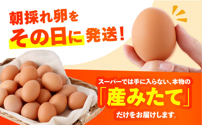 　【朝採れ直送】小峰鶏園 赤たまご Mサイズ 90個 / 卵 玉子 たまご 卵焼き 玉子焼き 生卵 鶏卵 卵かけごはん / 諫早市 / 小峰鶏園 [AHFB002]