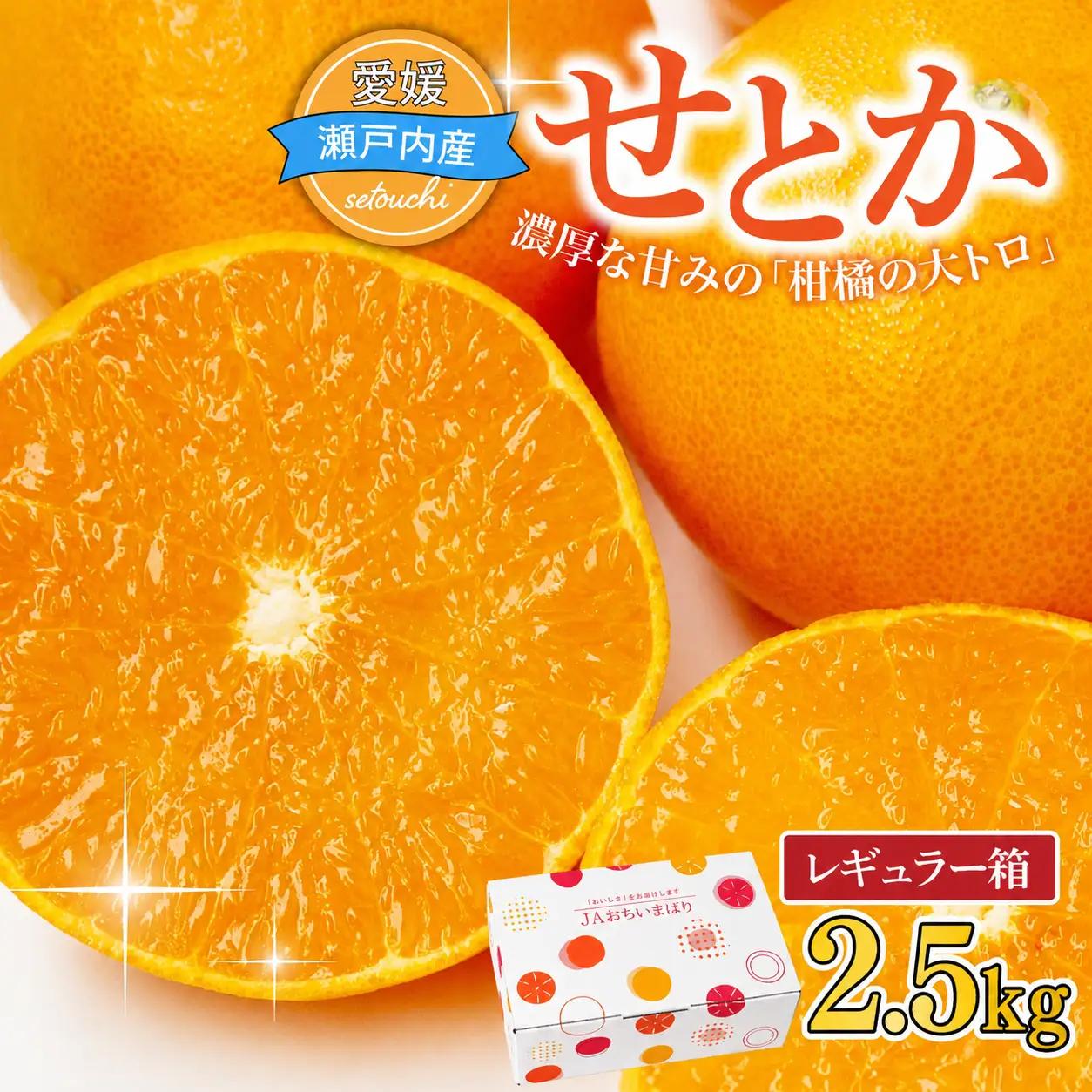 【先行受付】せとか 2.5kg レギュラー箱 みかん 柑橘