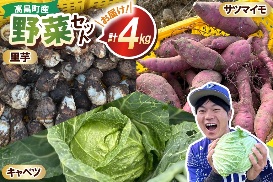 
            3種 野菜 ( キャベツ さつまいも 里芋 ) 計約4kg セット [農家の店しゃんくすろーど 山形県 高畠町 tk06bcz250000] やさい 詰め合わせ サツマイモ 芋 さといも 食べ比べ 
          