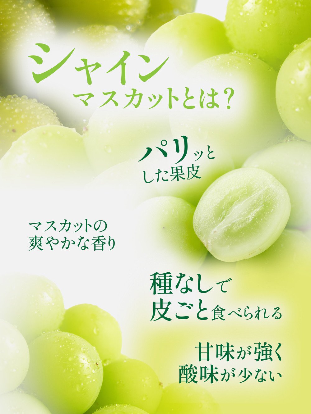 【岡山県産】シャインマスカット 約600g