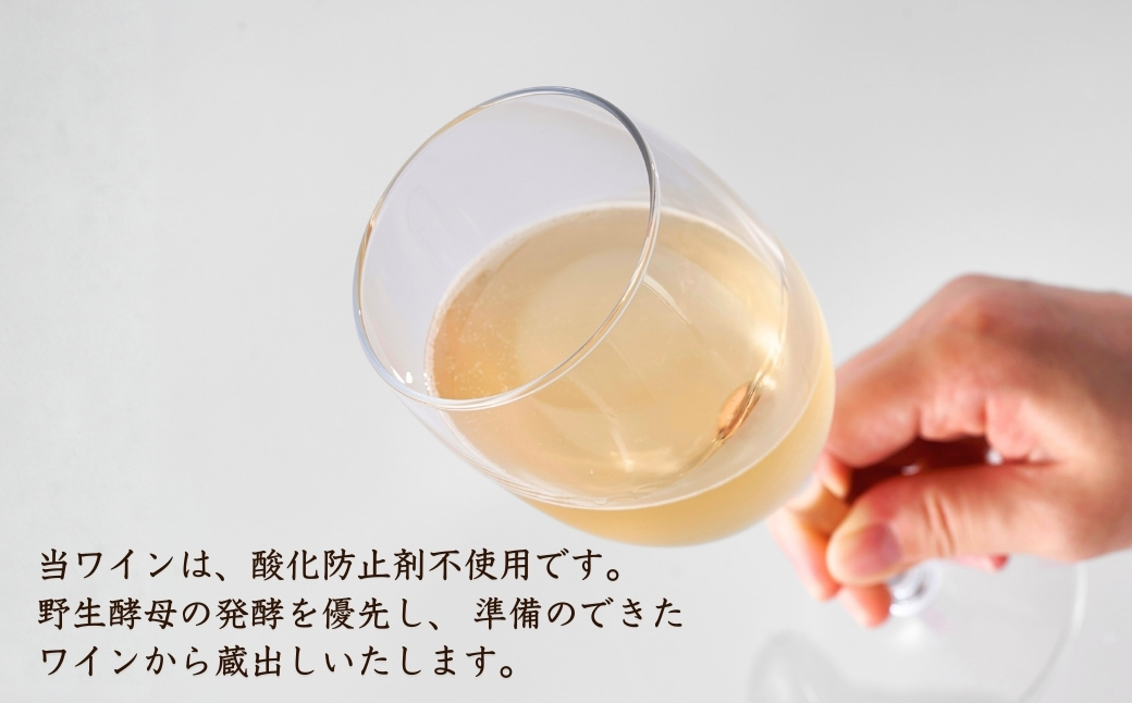 新潟産弥彦ブリューイング白泡2024年(果実酒:発泡性)750ml | 新潟県 弥彦村