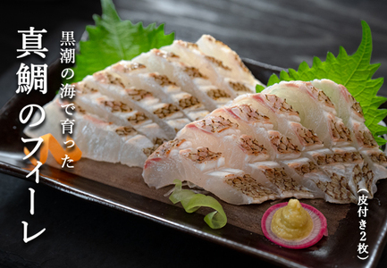 真鯛フィーレ(皮つき×2)計500〜740g 冷蔵 真空 柏島 活〆 湯引き・炙り向け 配達日指定可