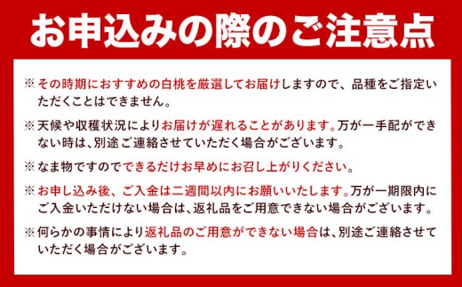 【先行予約】岡山白桃 等級 ロイヤル 約1kg《7月上旬‐8月下旬頃出荷》もも モモ 岡山 国産 フルーツ 果物 岡山県 浅口市 株式会社 はちや フルーツ モモ 果物 青果 旬 白桃 国産 岡山県産