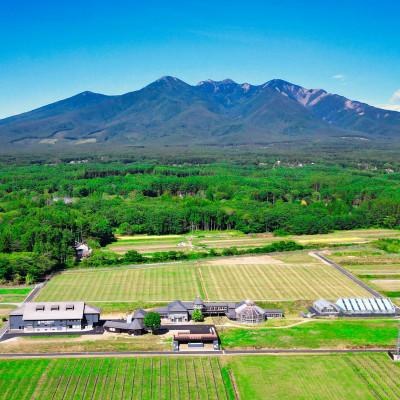 ふるさと納税 韮崎市 ロゼ サクラ メルロー 2022 750ml×2本セット |  | 02