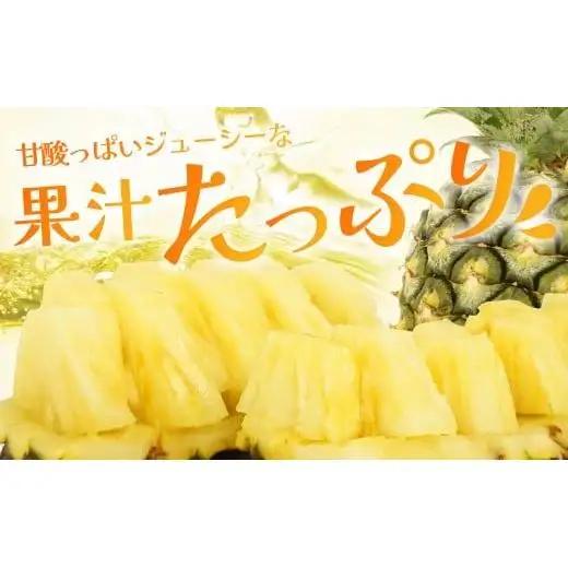 ＜先行予約＞ 石垣島産 ハワイ種パイン 2～3玉 約3kg 