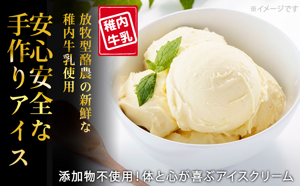 【業務用】稚内牛乳アイスクリーム2000mlバニラ×チョコ2個セット