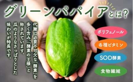 クラフト酵素シロップ グリーンパパイア 250ml×3個 宮崎県産
