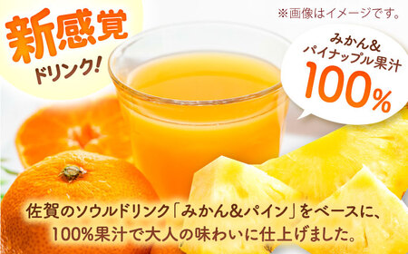 【果汁100％】チルスムージーミチルン（330ml×12本） / みかんジュース オレンジジュース パインジュース フルーツ 果汁100% / 佐賀県 / さが風土館季楽 [41AABE105]