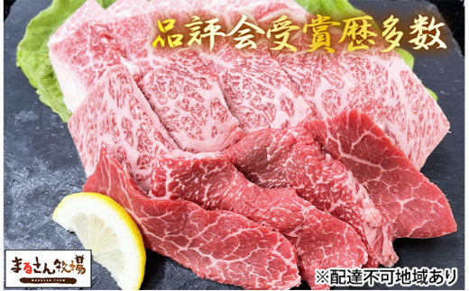 
【まるさん牧場産】近江牛特上焼肉用500g[№5748-0300]
