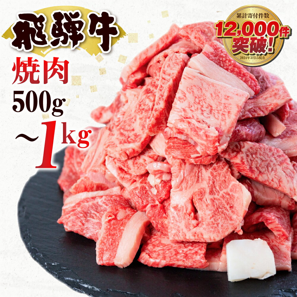 【ふるさと納税】飛騨牛 焼肉 切り落とし 肉 1kg 切落し 牛肉 肉 バーベキュー BBQ セット 和牛 焼肉 部位おまかせ ごちそう 贅沢 大容量 人気 おすすめ アウトドア 国産 冷凍 [S201] 発送月が選べる 訳あり 訳アリ JA飛騨 ひだ 白川村 14000円 25000円
