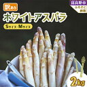 【ふるさと納税】北海道富良野産 訳あり ホワイトアスパラ 2kg【配送不可地域：離島】【1483408】