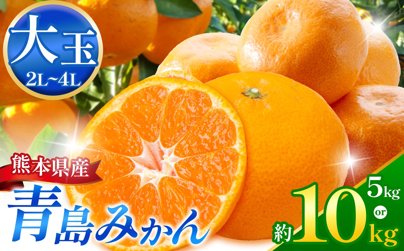 
                  【選べる 容量】こだわり栽培 青島みかん (2L～4L) 約 5kg /10kg iFARM 岩城農園 | フルーツ 果物 くだもの 柑橘 みかん ミカン オレンジ 青島ミカン 甘い 大容量 熊本県 玉名市 
                