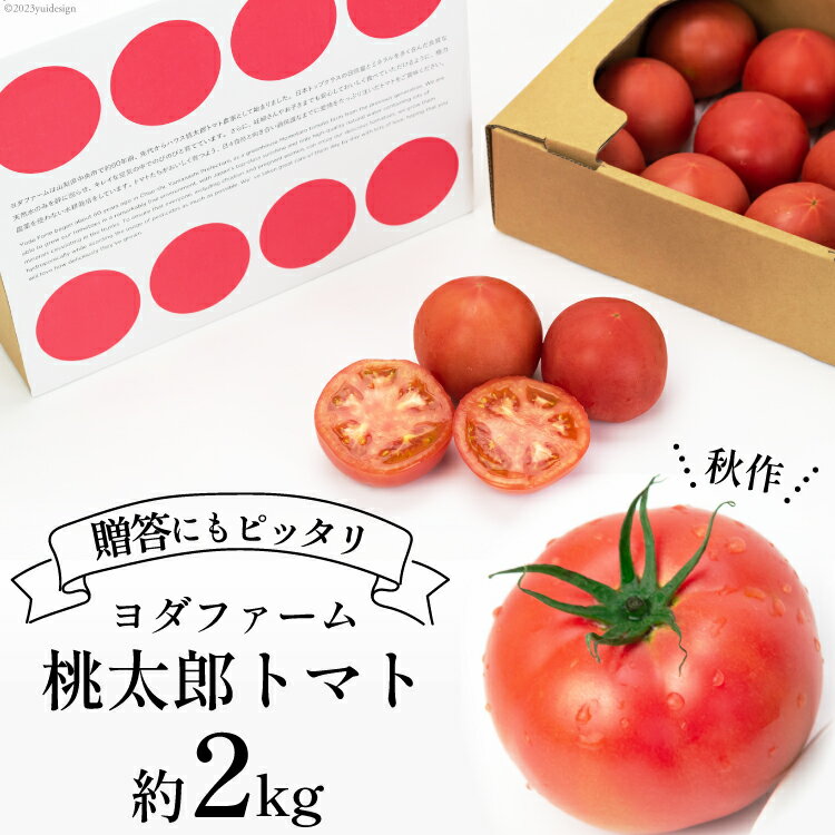 【ふるさと納税】【2025年発送】 秋作 トマト 桃太郎 約2kg [ヨダファーム 山梨県 中央市 21470977] とまと 野菜 やさい 2キロ 季節限定 期間限定 産地直送 山梨県産