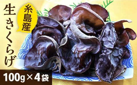 生きくらげ 100g×4P  福岡県糸島産 糸島市/糸島きのこファーム [AFC004]