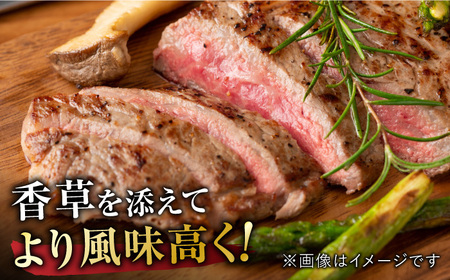艶さし ！ 佐賀牛サーロインステーキセット 500g ( 250g ×2枚) 吉野ヶ里町 佐賀牛 牛肉 肉 サーロイン ステーキ 国産 ブランド牛[FDB010]