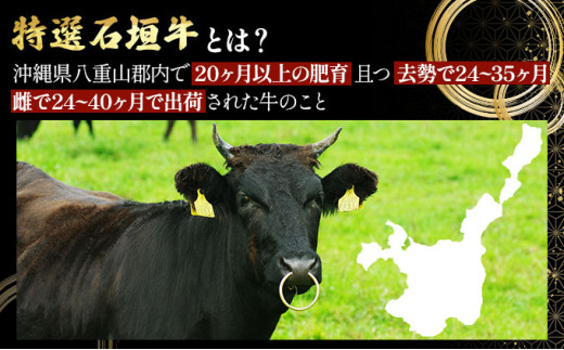 【2025年11月以降順次発送】特選石垣牛の牛スジとマルチョウ、秘伝の味噌味をご家庭で！！牛スジ500g、マルチョウ300ｇ×2、味噌味マルチョウ300ｇ×2のよくばりセット | 沖縄 石垣 牛スジ 