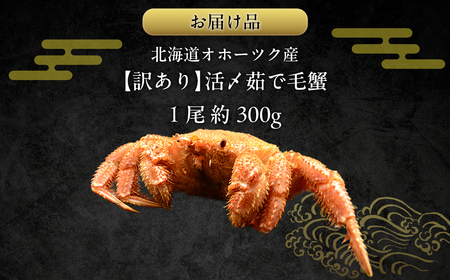 【訳あり】活〆茹で毛蟹1尾 約300g 【ふるさと納税 人気 おすすめ ランキング カニ かに 蟹 毛がに 毛蟹 毛ガニ 活〆 茹で 茹で毛ガニ 活〆毛ガニ 活〆毛がに 訳あり 海鮮 オホーツク 北海