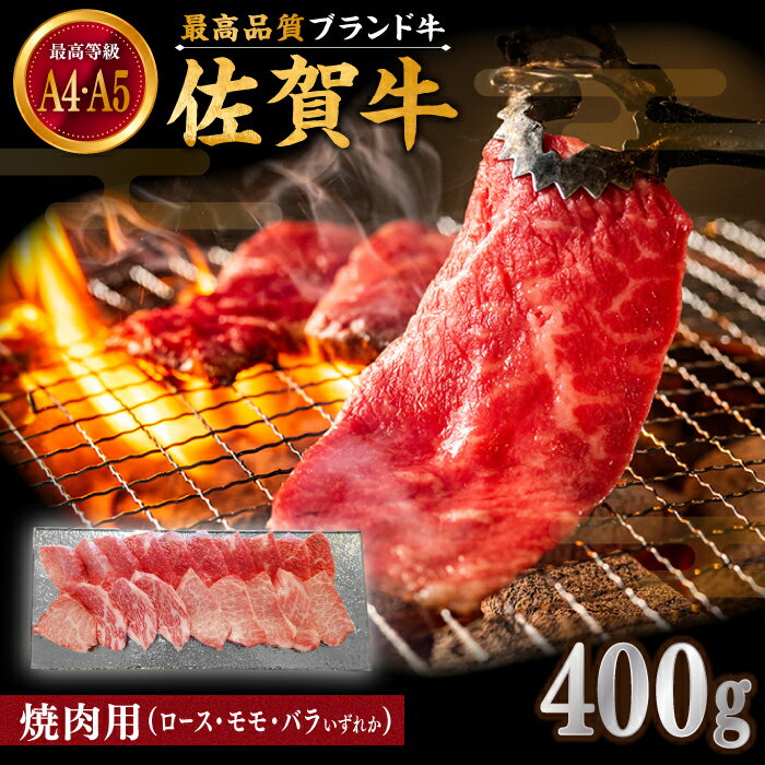 【ふるさと納税】佐賀牛 焼肉用 400g 厳選部位 ロース・モモ・バラからいずれか【川崎畜産】和牛 A4 A5 ランキング 人気 おすすめ 食べ比べ BBQ バーベキュー お肉 牛肉 焼き肉 冷凍 佐賀県 白石町 [IAX033]
