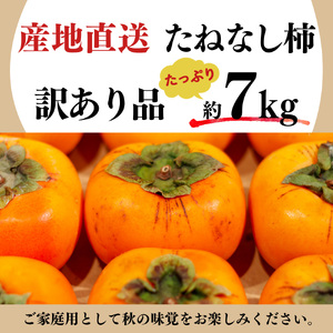 たねなし柿　わけあり！（約7kg）※着日指定不可≪訳アリ 訳あり 家庭用 ご家庭用 奈良 お歳暮 秋 味覚≫