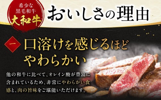 牛肉 ヒレ 大和牛 ヒレステーキ 用 ステーキ【年末年始12月26日?1月7日の着日指定不可】 大和牛専門店 一 F-33