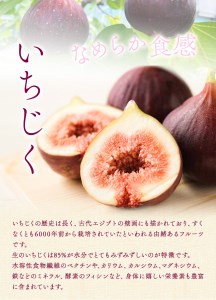 【和歌山県紀の川市産】新鮮いちじく約300g×4パック入り 紀の川市厳選館《2024年9月上旬-11月中旬頃出荷予定》和歌山県 紀の川市