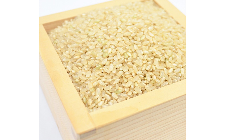 令和7年産　ひとめぼれ 玄米 5kg 宮城県白石市産【06173】 玄米(5kg)