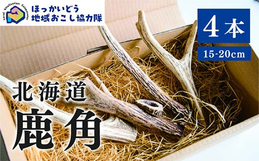 
            北海道湧別町産 鹿角（15～20cm） 4本 地域おこし協力隊関連返礼品 F6S-224
          