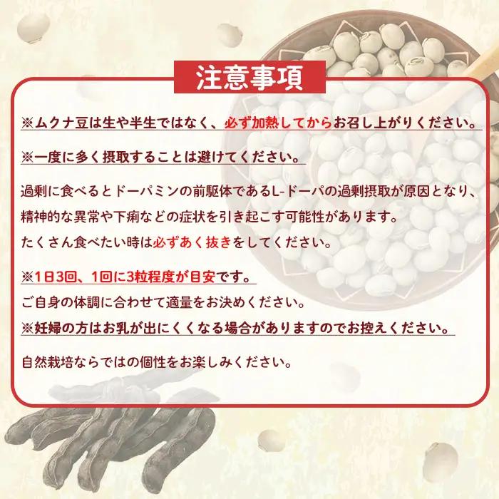 ムクナ豆 100g 八升 ハッショウマメ 【永濱農園】n427