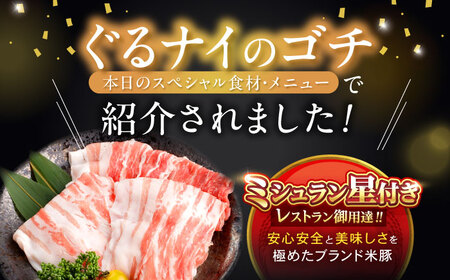 【3回定期便】黒豚諫美豚プレミアム100 バラ肉 しゃぶしゃぶ用 500g(250g×2P) / 豚肉 ぶたにく バラ ばら 豚バラ シャブシャブ しゃぶしゃぶ / 諫早市 / 株式会社土井農場[AH