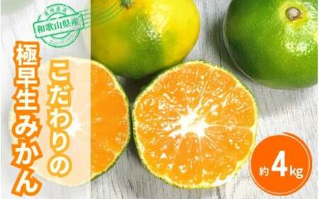 【2026年秋頃発送予約分】【農家直送】こだわりの極早生みかん 約4kg 【数量限定】 有機質肥料100% サイズ混合 先行予約 ※2026年10月～11月に順次発送予定（お届け日指定不可）【nuk171A】