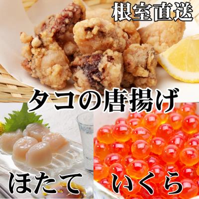 ふるさと納税 根室市 たこ唐揚げ250g、ほたて500g、いくら100g B-36046