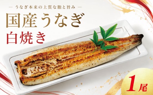 うなぎ 白焼き 国産 中サイズ 1尾 《 冷蔵発送 解凍手間なし！》 鰻 ウナギ 白焼 国産うなぎ 国産鰻 うなぎ白焼き 冷蔵 土用 丑の日 父の日 小分け 徳島 魚市場 【GW・シルバーウィーク・お盆・年末年始 の指定日は不可】