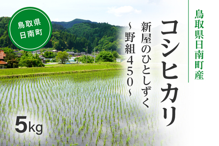 令和8年産 新米 先行予約 鳥取県日南町産コシヒカリ 5kg 新屋のひとしずく ～野組450～ 米 お米 おこめ 精米 こしひかり