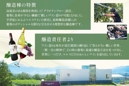ワイン 定期便 2本 4回 計8本 赤 白 飲み比べ ソムリエ 厳選 おまかせ ギフト