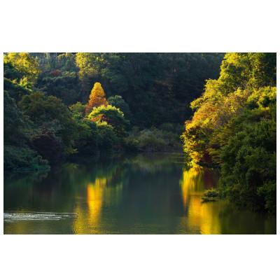 ふるさと納税 天理市 天理の風景2『AUTUMN RADIANCE 〜秋光〜』A4メタルグラフィックアート