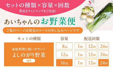 【16品 / 24回定期便】農薬に頼らない！カラダにやさしい「よしのがり野菜」セット（ラージ）【吉野ヶ里あいちゃん農園】 [FAA011]