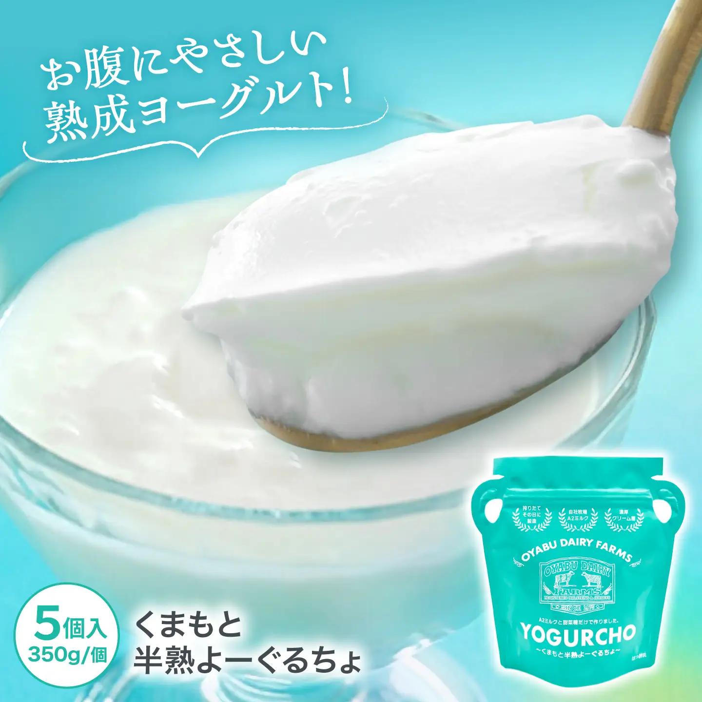 くまもと半熟よーぐるちょ 350g×5個 オオヤブデイリーファーム ヨーグルト 濃厚ヨーグルト AYAE004
