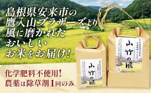 新米 令和8年産 小竹の風（コシヒカリ）5kg×1袋 【 お米 こしひかり 化学肥料不使用 島根県産 精米 白米 島根県 安来市 】【20-TB-23】