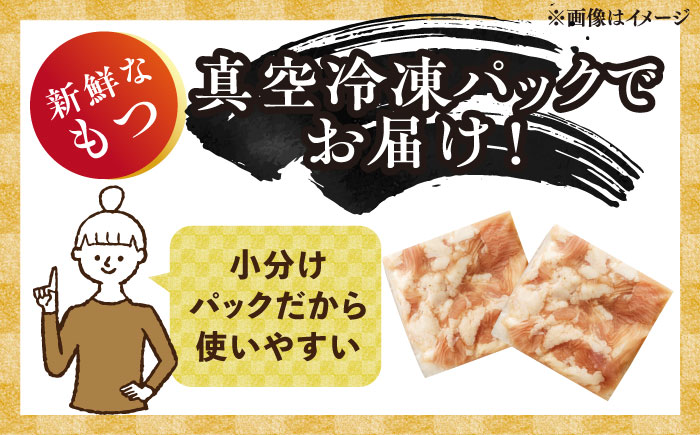 博多味噌もつ鍋 10人前セット 吉富町/株式会社MEAT PLUS [BGAB005]